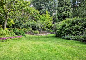 Optimiser l'expérience du jardin à Chenecey-Buillon